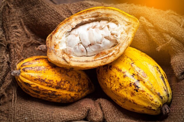 Cocoa beans and cocoa pod on a wooden surface