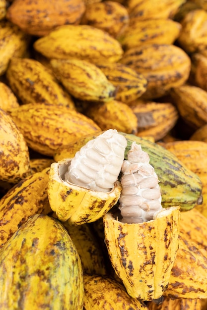 Cocoa beans and cocoa pod on a wooden surface.