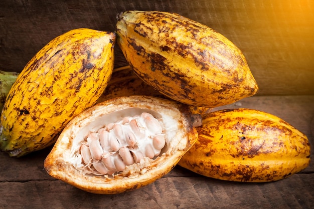 Cocoa beans and cocoa pod on a wooden surface