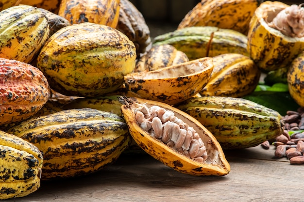 Cocoa beans and cocoa pod on a wooden surface.