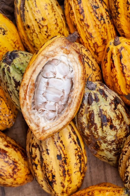 Cocoa beans and cocoa pod on a wooden surface.