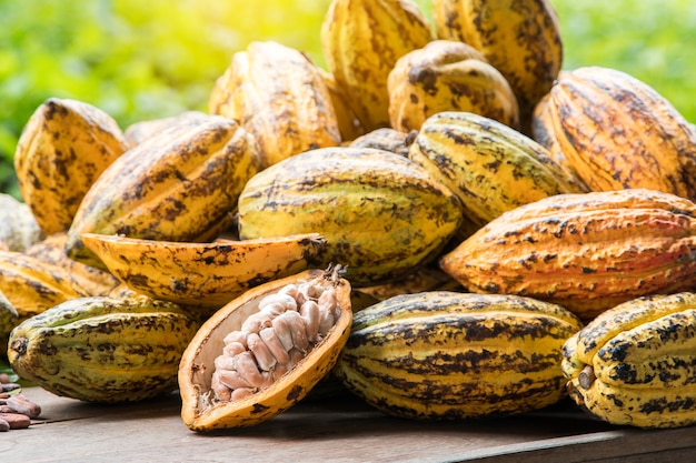 Cocoa beans and cocoa pod on a wooden surface.