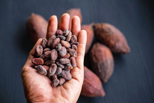 Cocoa beans and dried cocoa