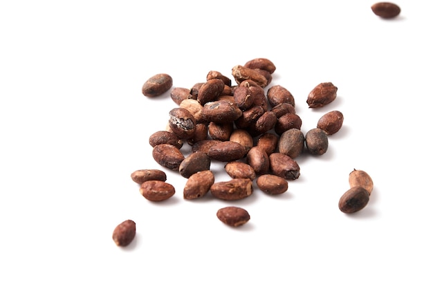 Cocoa beans on a white background