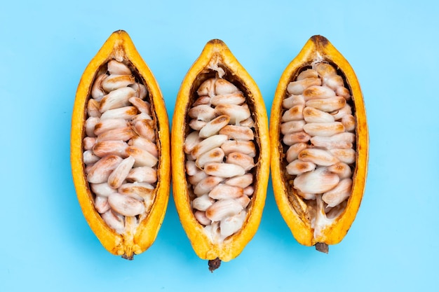 Cocoa fruit isolated on blue background