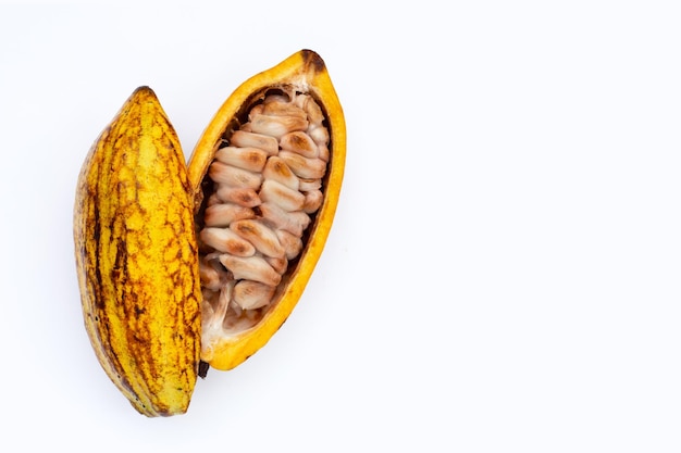 Cocoa fruit isolated on white background