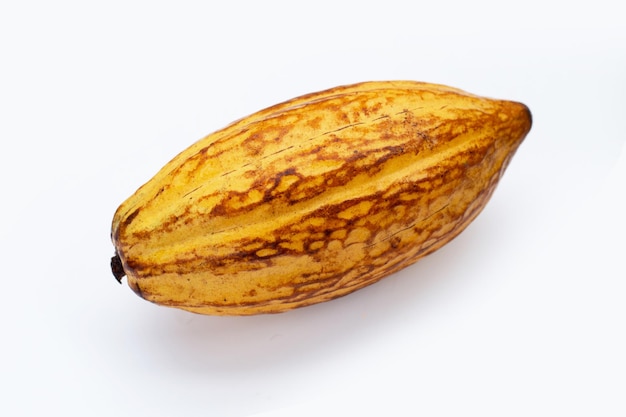 Cocoa fruit isolated on white background