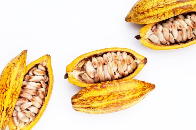 Cocoa fruit isolated on white background