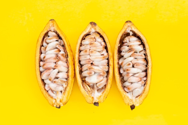 Cocoa fruit isolated on yellow background