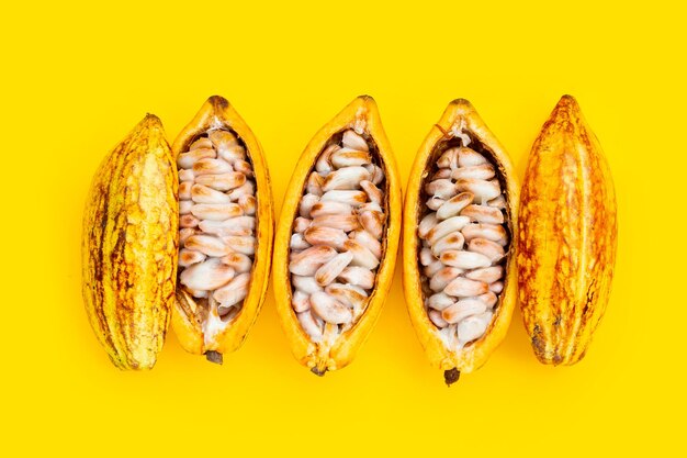 Cocoa fruit isolated on yellow background