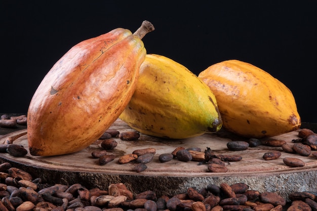 Cocoa fruits and raw cocoa beans on the table with black background.