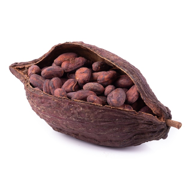 Cocoa pod ,beans and isolated on white background