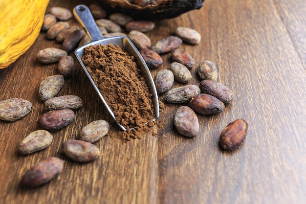 Cocoa powder and cocoa bean on wooden table