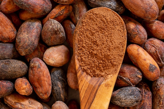 Cocoa powder in a wooden spoon