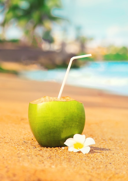 Coconut on a beach cocktail