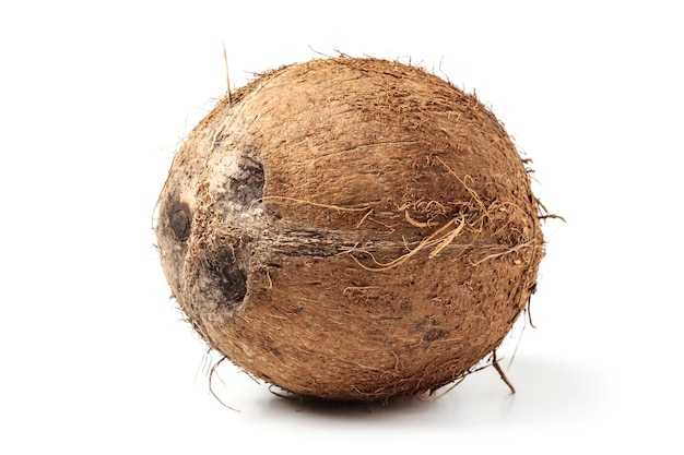 Coconut close up isolated on white background