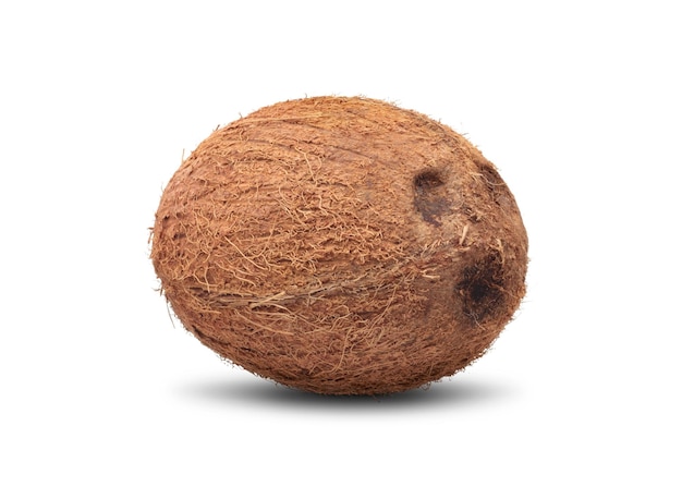 Coconut consisting of hard shell with edible white flesh inside isolated on white background