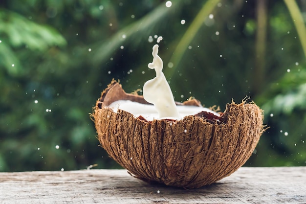 Coconut fruit and milk splash inside it on a background of a palm tree