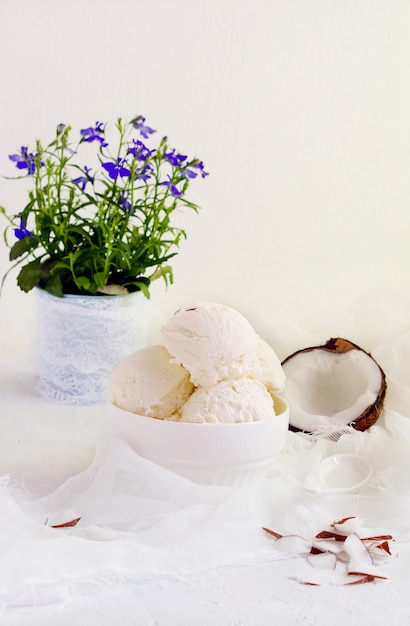 Coconut ice cream  homemade