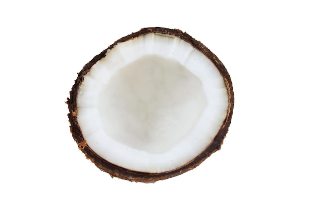 Coconut isolated on white background Space for text or design