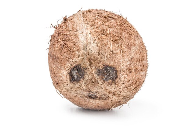 Coconut isolated on a white background