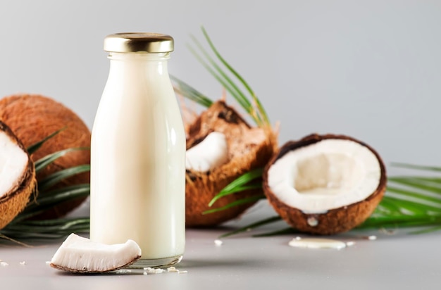 Coconut non dairy vegan milk in bottle with shell Gray backgound with copy space