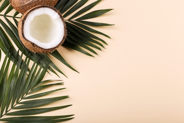 Coconut and palm leaves, copy space. Summer mood, tropical, blank.