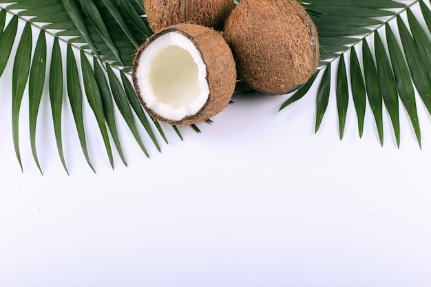 Coconut and palm leaves, copy space. Summer mood, tropical, blank.