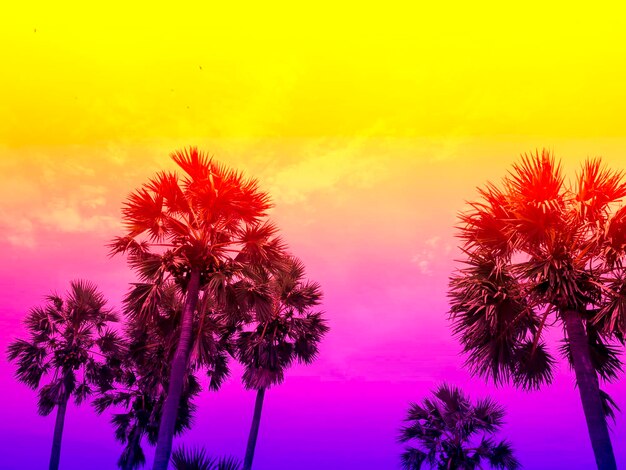 Photo coconut palm trees silhouette on summer colorful sky beautiful tropical background summer holiday and travel vacation concept