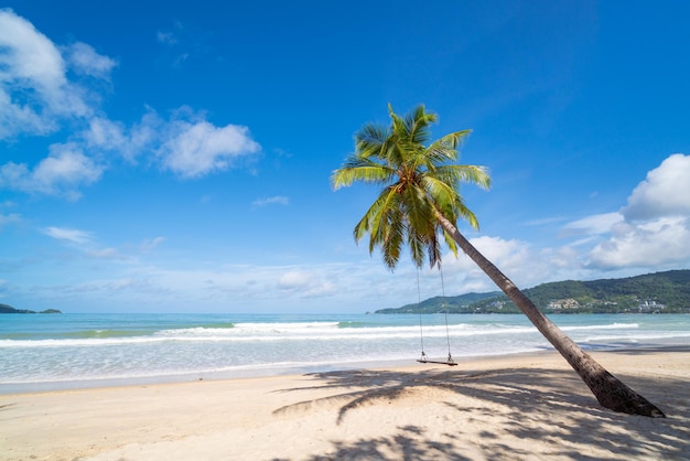 Coconut tree stretching towards the sea beach blue sky background