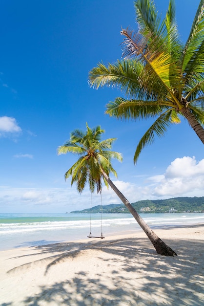 Coconut trees on the beach