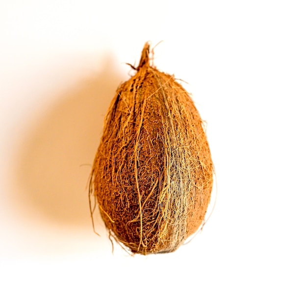 coconut tropical fruit isolated on white background. bright one whole undisclosed coco nut