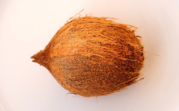 Coconut on white background hd image