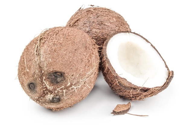 Coconut on a white background