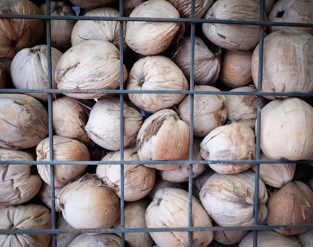 Coconuts overlap in the cage