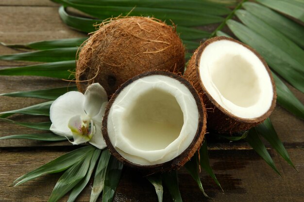 Coconuts with leaves and flower on grey wooden background