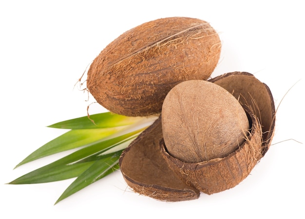 Coconuts with leaves on a white isolated.