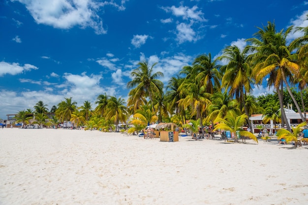 Cocos beach bar on a beach with white sand and palms on a sunny day Isla Mujeres island Caribbean Sea Cancun Yucatan Mexico