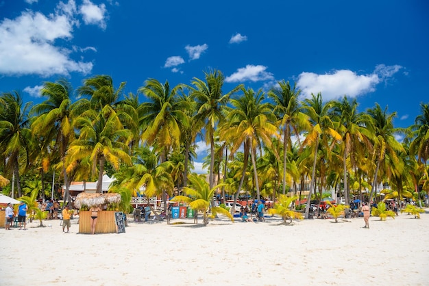 Cocos beach bar on a beach with white sand and palms on a sunny day Isla Mujeres island Caribbean Sea Cancun Yucatan Mexico