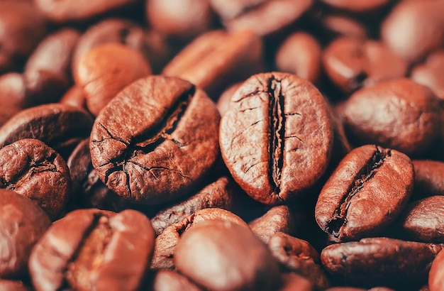 Coffee bean a Cup of coffee selective focus