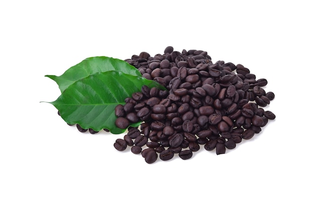 Coffee bean and leaves