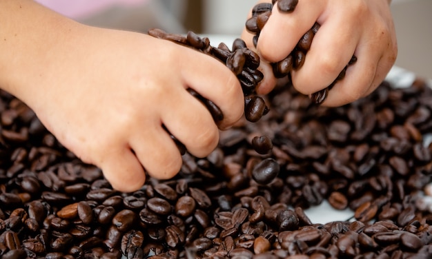 Coffee bean on the table straight from the farm beautiful and smelling