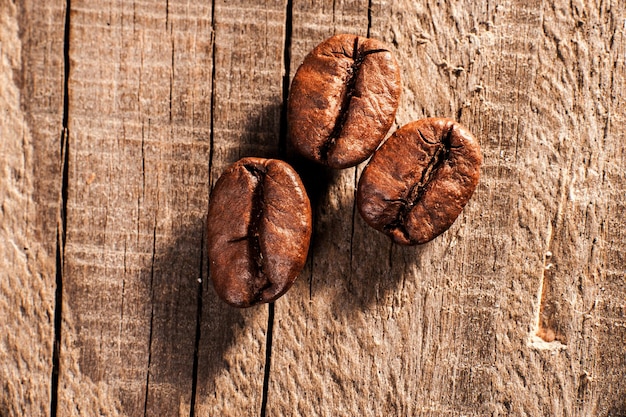 Coffee beans on the background texture