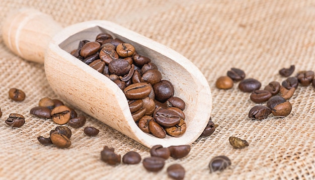 Coffee beans on burlap background copy space