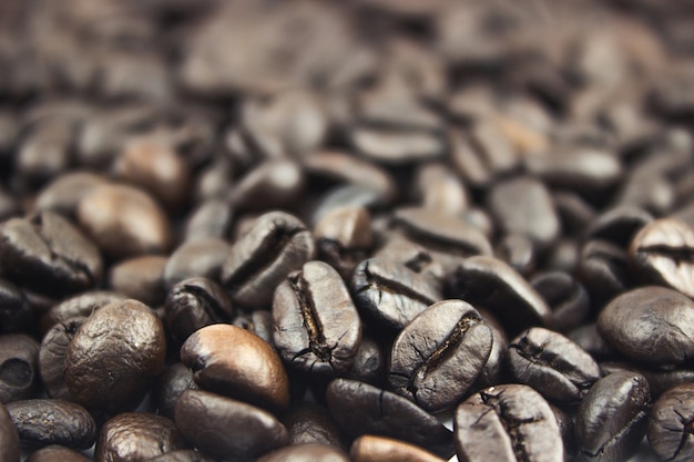 coffee beans close up