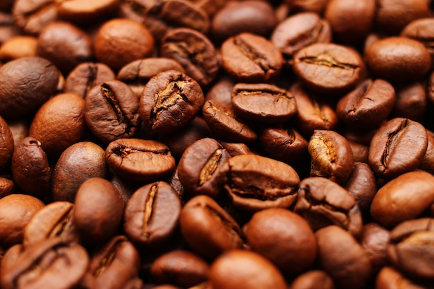 Coffee beans close up