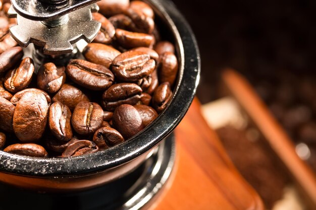 Coffee beans in a coffeemill Close up