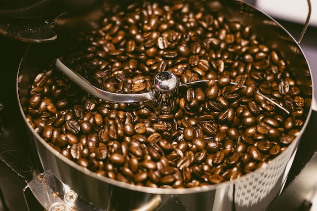 coffee beans dark oily roast aroma roasting in roastery coffee bean roaster closeup cooling end roasting phase cafe beverage industry