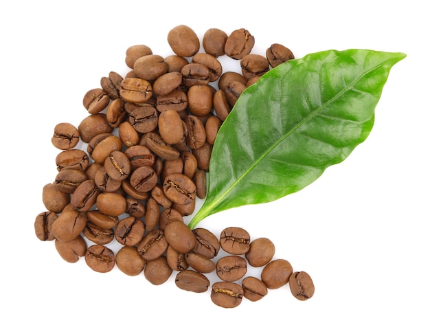 Coffee beans and green leaves isolated on white