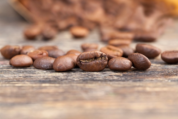 Coffee beans for the production of delicious coffee, aromatic coffee beans in raw or roasted form